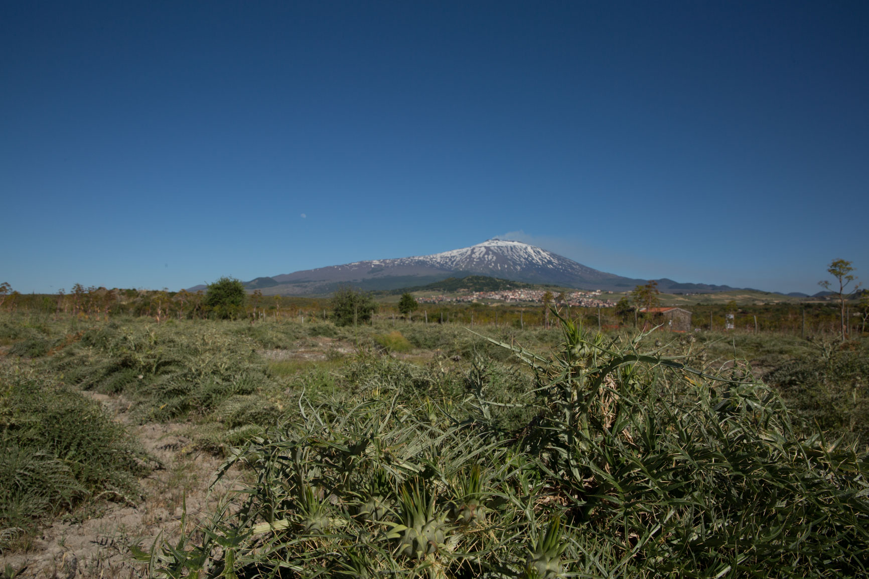 Distilleria Belfiore | Spiriti Siciliani