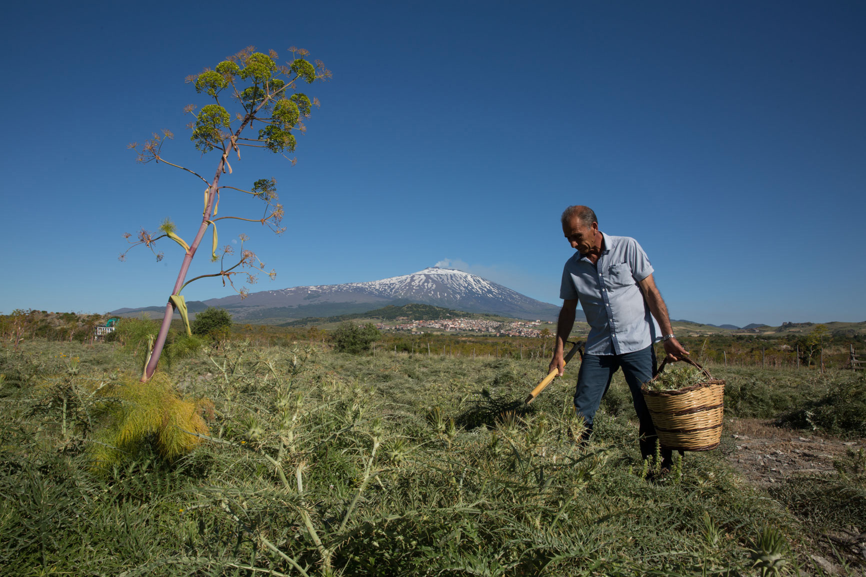 Territorio - Distilleria Belfiore